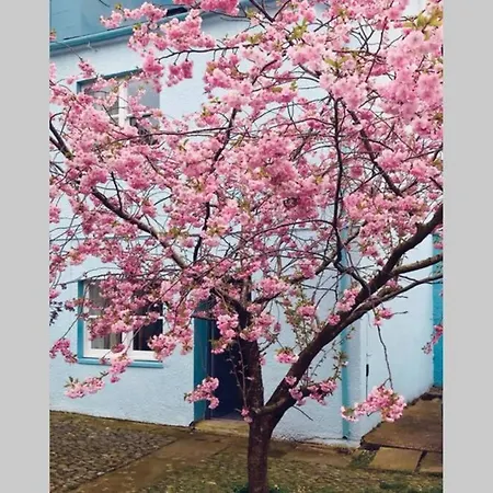 Albion Appartamento *